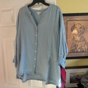 J Jill Light Blue Button-Up Blouse